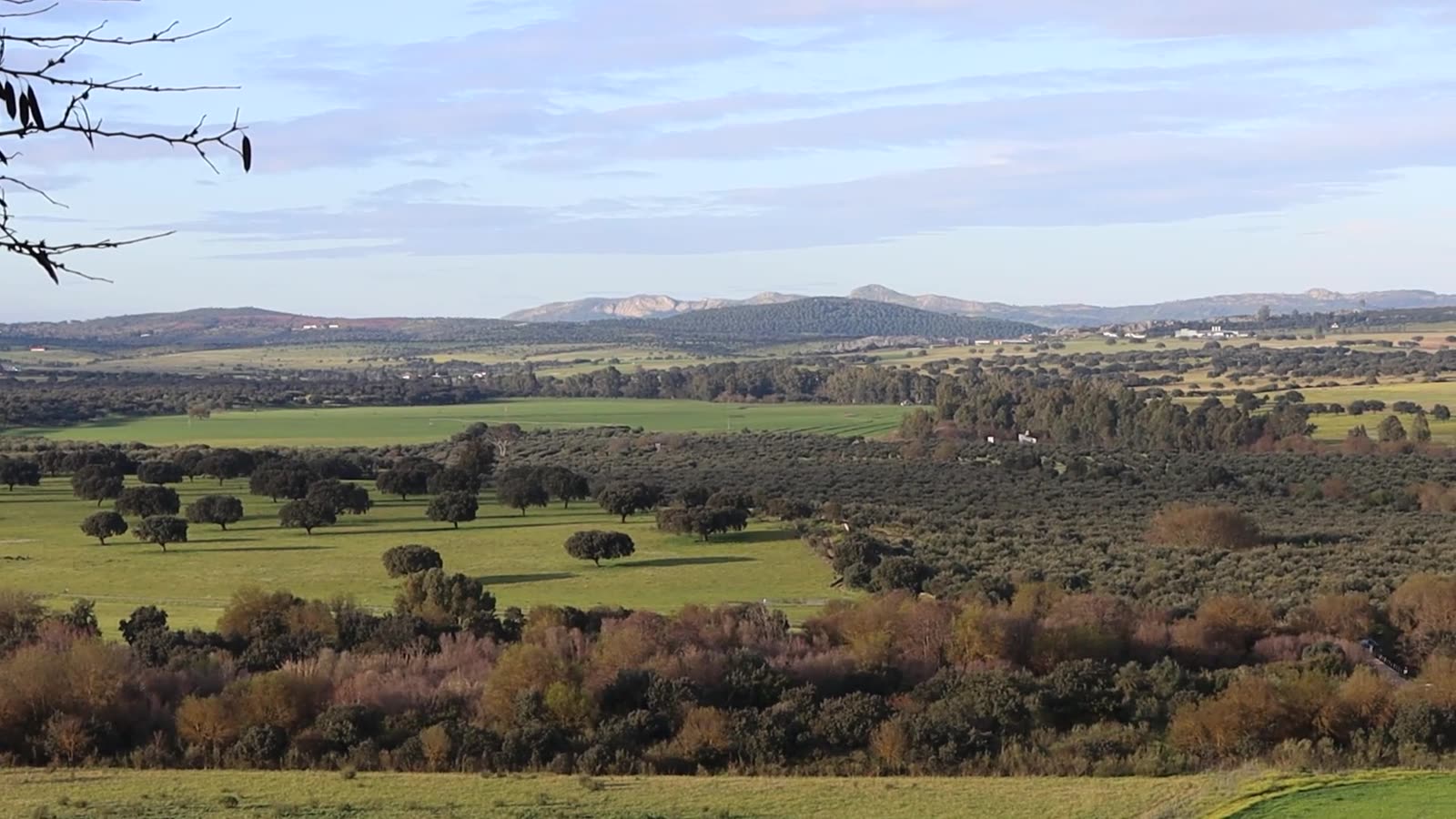 Paisagem do Alentejo